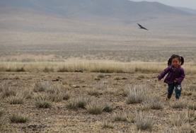 Volunteer Language Courses A young Mongolian child from one of our nomad host families chases a bird through a field.