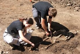 Volunteer Archaeology Archaeology volunteers use a delicate brushing technique to uncover bones during their internship in Romania.