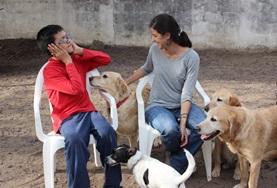 Volunteer Care A disabled boy and a Canine Therapy volunteer work together with dogs during a specialised therapy session in Argentina.