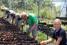 Volunteer Conservation & Environment Conservation volunteers tend to seedlings at a tree nursery, helping with reforestation efforts in Ecuador.