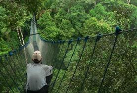Volunteer Conservation & Environment A volunteer sits on a tree canopy walkway during a wildlife survey at our Conservation placement in the Amazon, Peru.