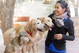 Volunteer Argentina A qualified veterinarian volunteer spends time with dogs at an animal shelter in Argentina.