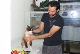 Volunteer Mexico A qualified veterinarian volunteering in Mexico performs a health check on a cat at a veterinary clinic.