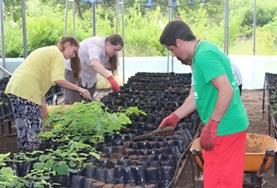 Volunteer Ecuador High School Special volunteers take care of seedlings at a tree nursery at the Care & Conservation placement in Ecuador.