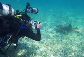 Volunteer Belize A high school student volunteering in Belize records data about marine life as part of our Conservation & Community placement.