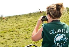 Volunteer Kenya A high school student volunteering in Kenya monitors giraffe populations as part of her Conservation work in a local reserve.