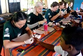 Volunteer Medicine & Healthcare