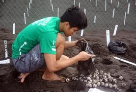 Volunteer Mexico A High School Special volunteer buries turtle eggs at the conservation centre of his Conservation & Spanish placement in Mexico.