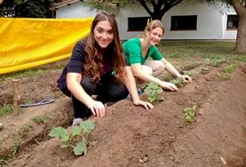 Volunteer on an Agriculture & Farming placement Agriculture & Farming projects